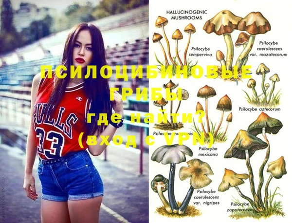прущие крисы Алексеевка