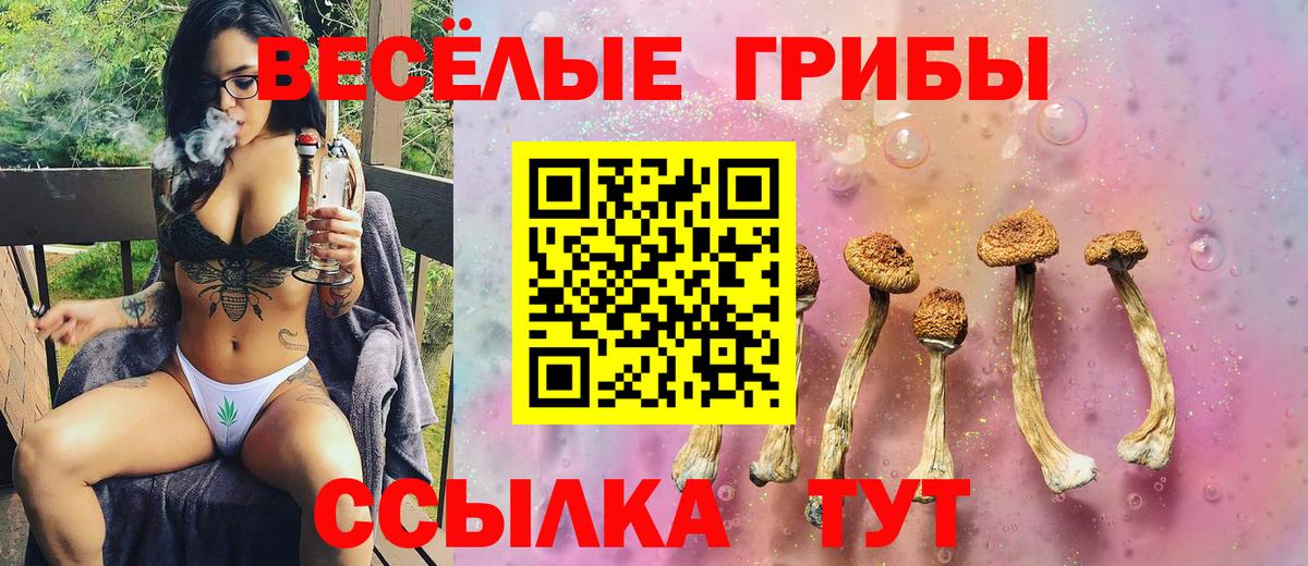 Псилоцибиновые грибы ЛСД Ижевск